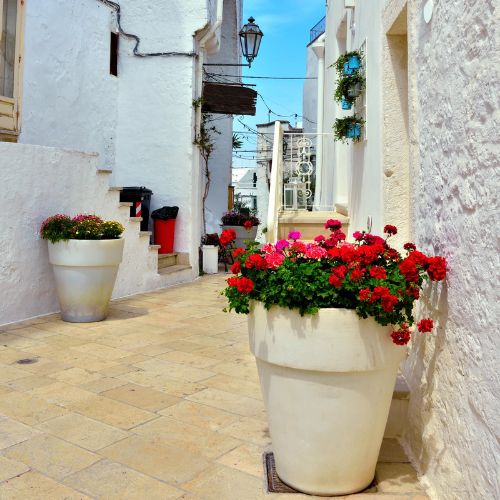 Apulia Moove - Transfer brindisi - gallipoli